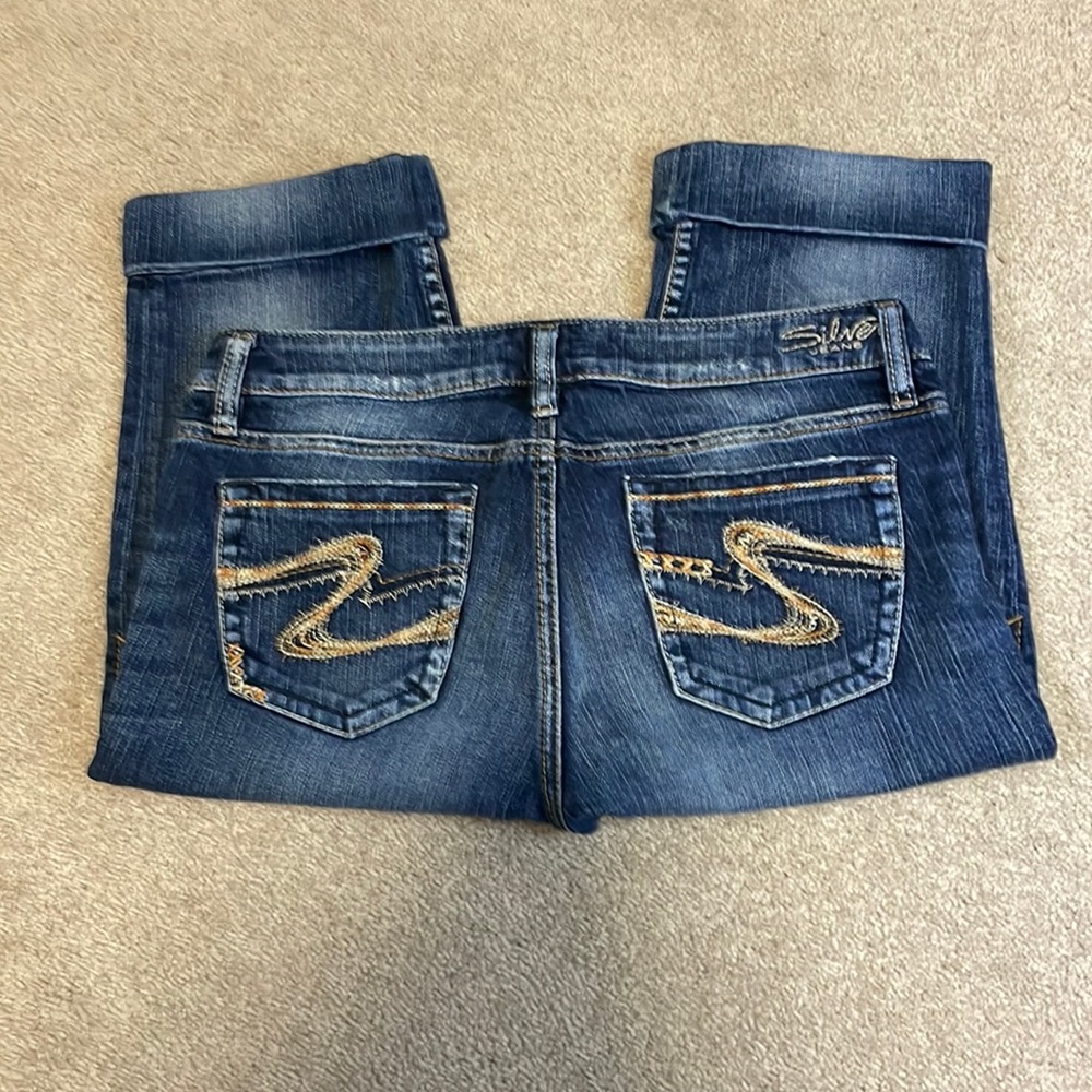 Silver Elyssa Capris Size 30 - image 4